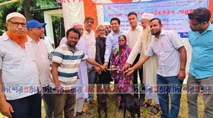 সিংড়ায় ক্ষুদ্র নৃগোষ্ঠী পরিবারের মাঝে ২০০ ছাগল বিতরণ