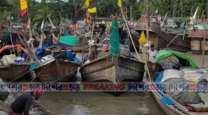 রামগতি-কমলনগর নদী থেকে শূন্য হাতে ফিরছেন জেলেরা
