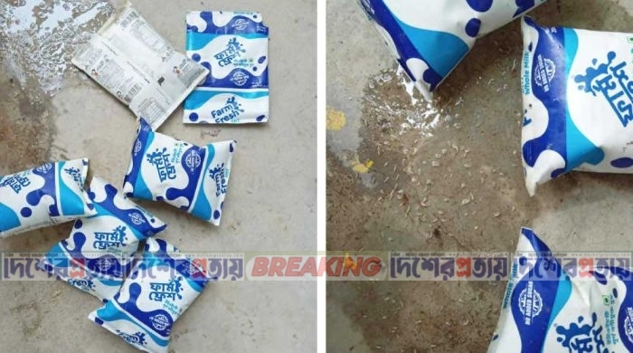 মিড ডে মিল : দুধের প্যাকেটে পোকা ও দুর্গন্ধের অভিযোগ