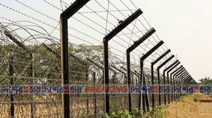 সাতক্ষীরা সীমান্তে বিএসএফের গুলিতে দুই বাংলাদেশি আহত
