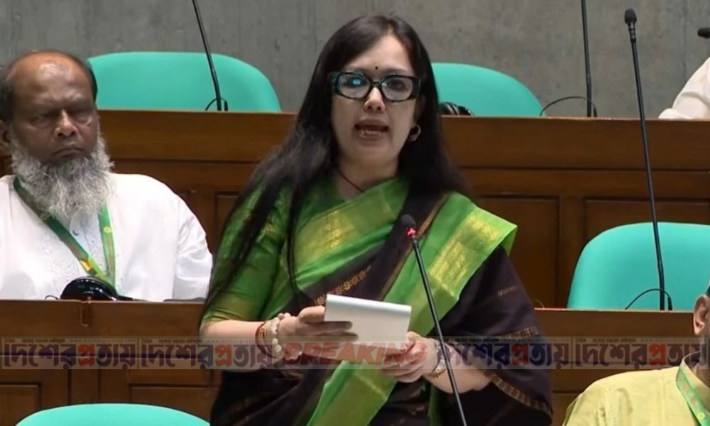 সামষ্টিক চাপে বাজেট বাস্তবায়ন নিয়ে রুমিন ফারহানার প্রশ্ন