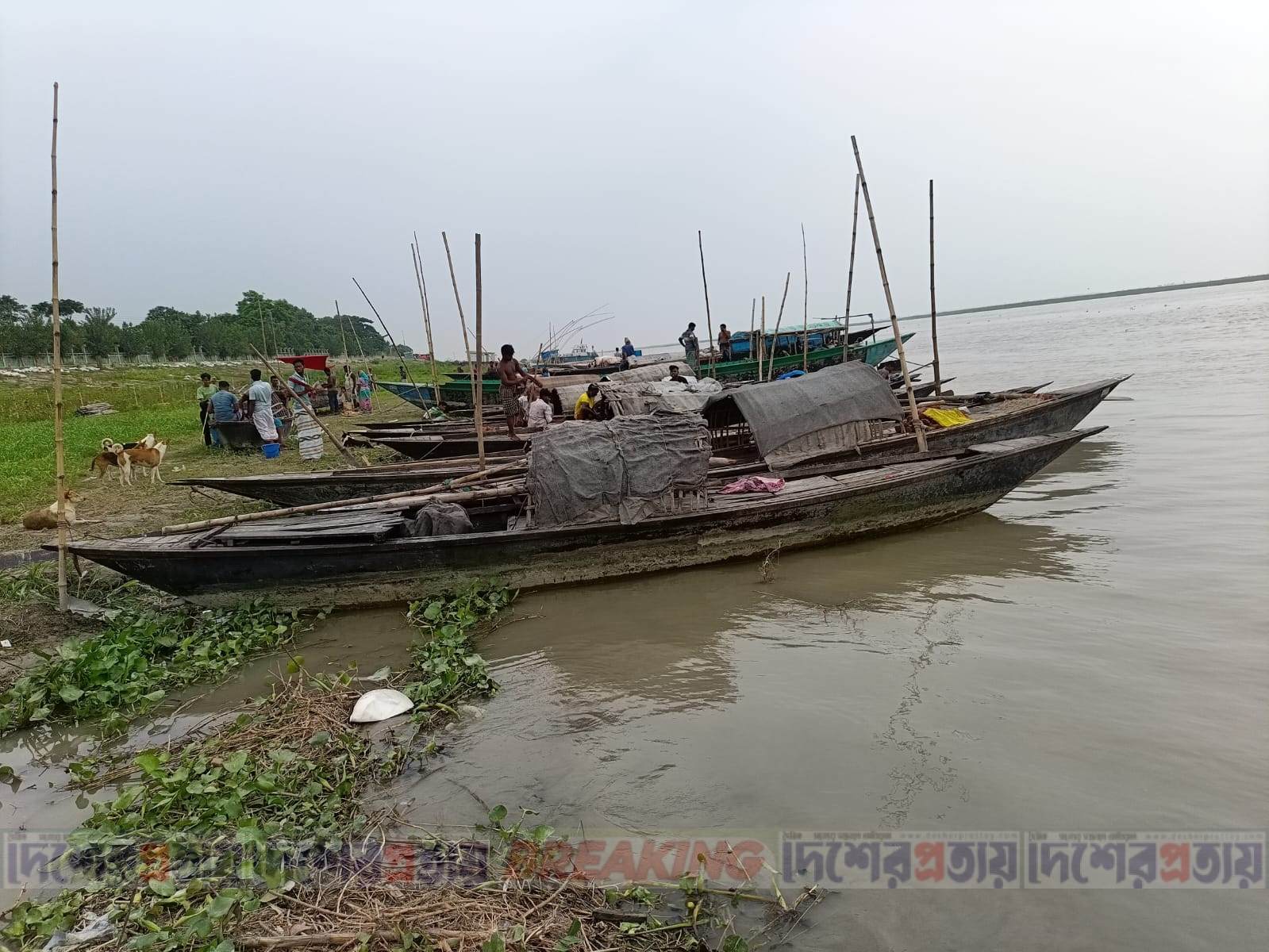 ভোরের যমুনা, কাঁধে জাল: জেলে বাপ্পি চৌধুরীর সংগ্রামের গল্প