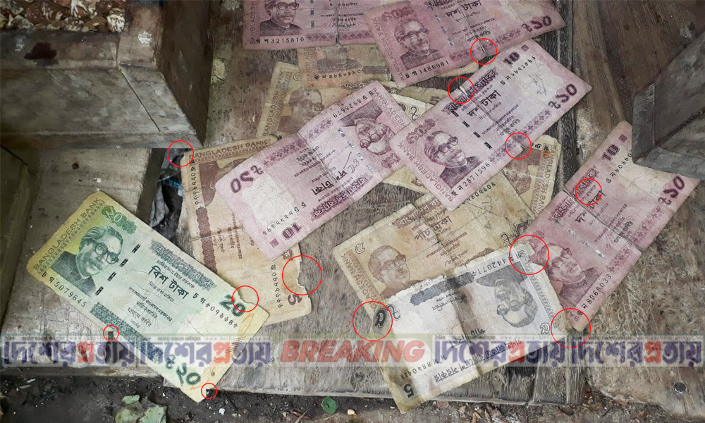 টাকা যেন জীবাণুর কারখানা, পোড়া নোটের নেপথ্যে কী?