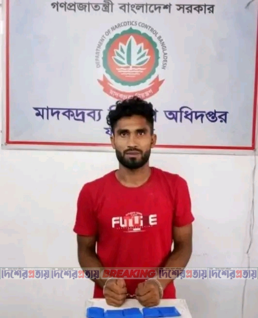 ফরিদপুরে ১ হাজার ১ পিস ইয়াবাসহ দুই যুবক গ্রেপ্তার
