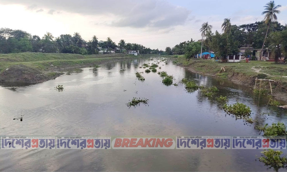 যশোরের কেশবপুর জোয়ার-ভাটার কল্লোলে, প্রাণ ফিরেছে হরিহরে