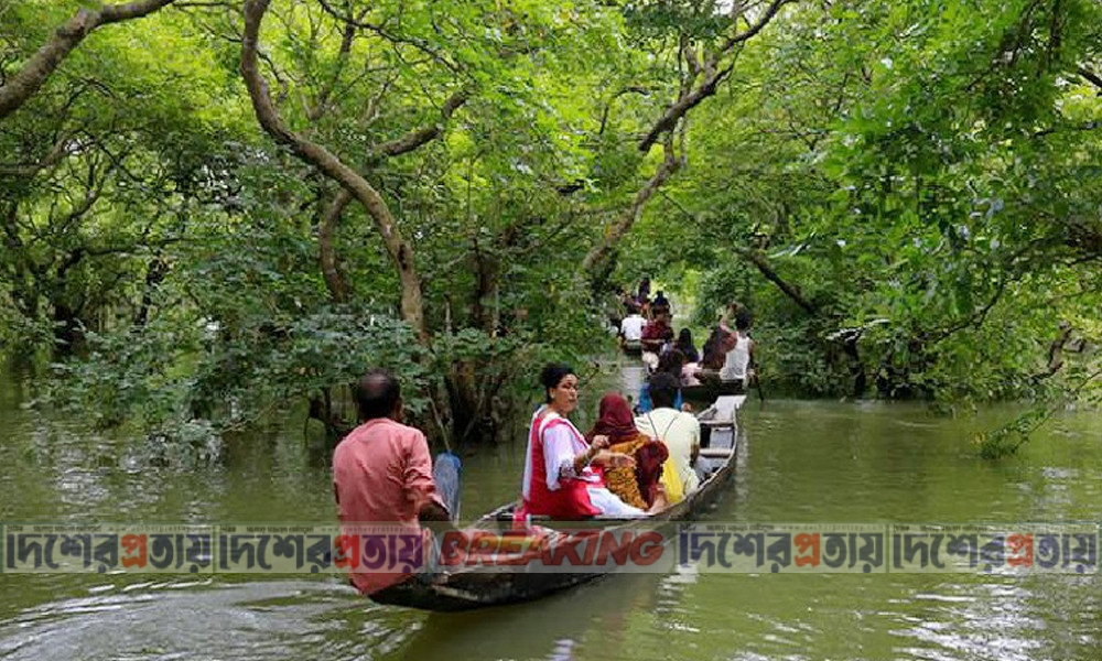 তিন মাস পর আজ থেকে উন্মুক্ত সুন্দরবন