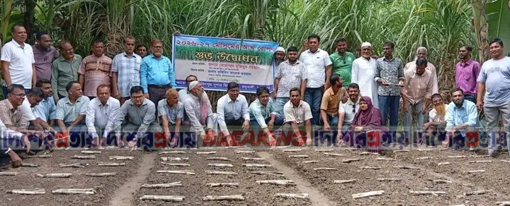 ফরিদপুর চিনিকলে আখ রোপণ মৌসুমের উদ্বোধন