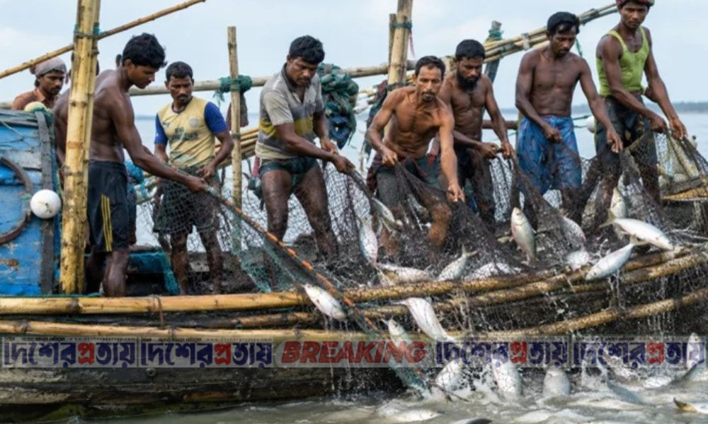সাড়ে ৬ লাখ জেলে পরিবার পাচ্ছে ১৬৫৭ মেট্রিক টন চাল