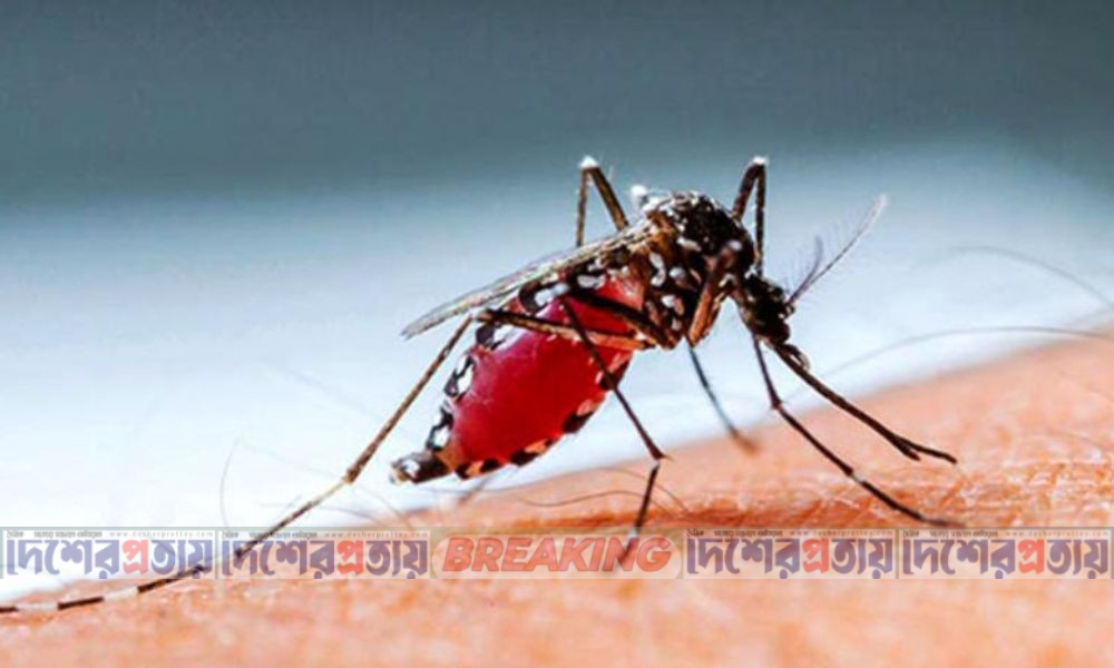 ডেঙ্গুতে আরো ৬ জনের মৃত্যু, হাসপাতালে ১৬০৮